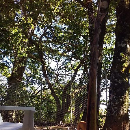 מונטה ורדה Nature House מראה חיצוני תמונה